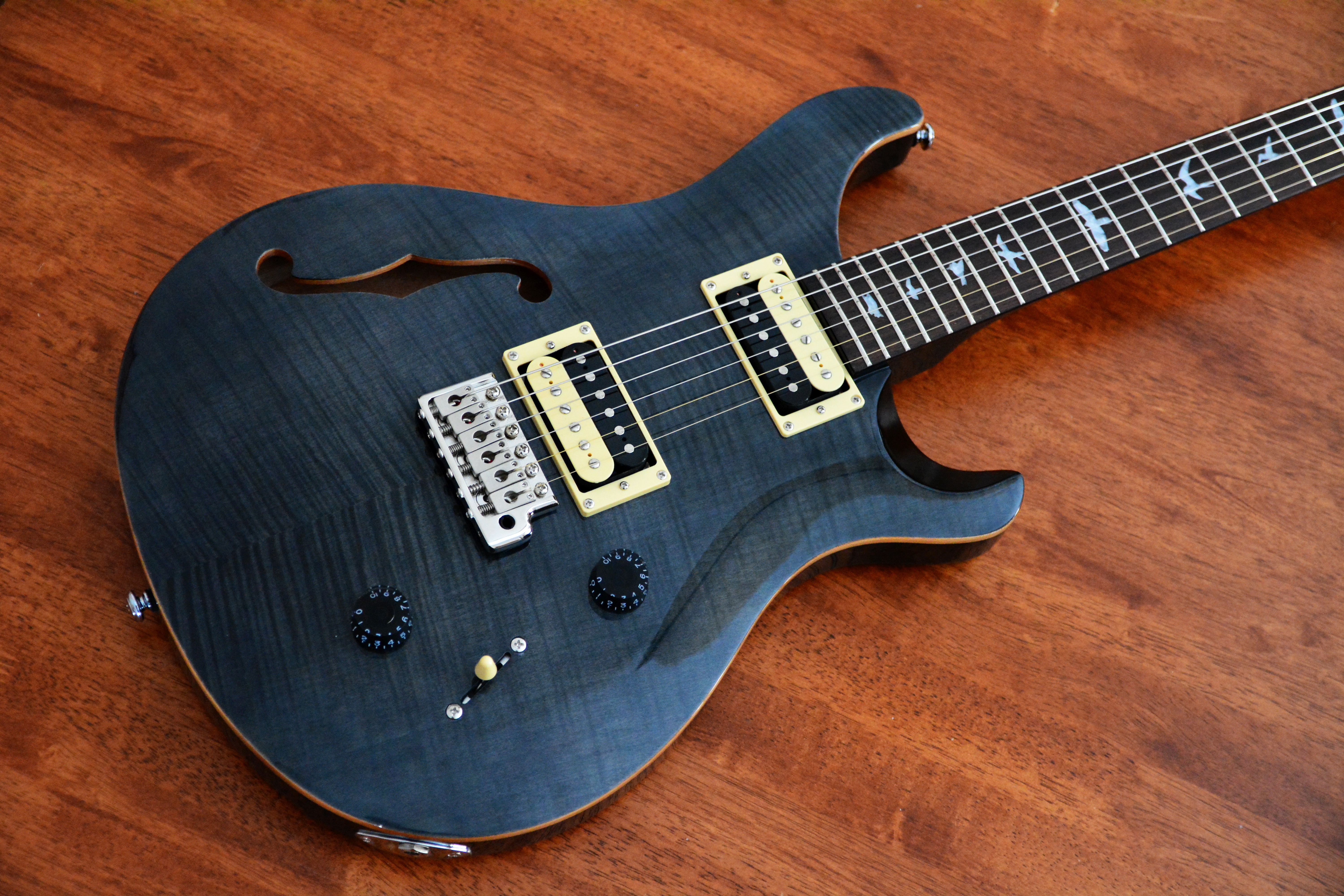 NGD PRS SE Hollowbody | The Canadian Guitar Forum